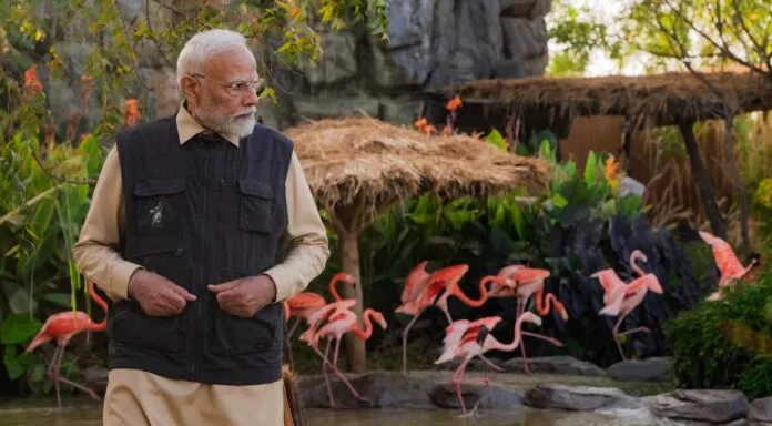 PM Narendra Modi Inaugurates Vantara in Gujarat, Feeds Lion Cubs, Spends Time with Elephants and Other Wildlife